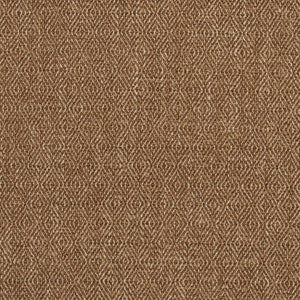2915 Honey by Charlotte Designer Fabric