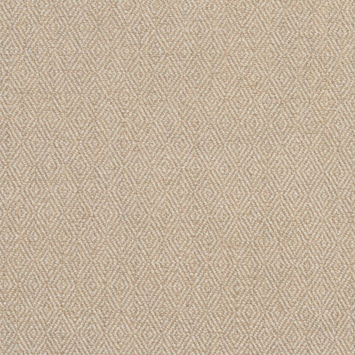 2917 Sand by Charlotte Designer Fabric Ring Book Page #2A 100% Woven Polyester Asia Exceeds 100,000 Wyzenbeek Rubs (Heavy Duty) Horizonta: .5" x Vertical: 1" 54 Inches - Swanky Fabrics -
