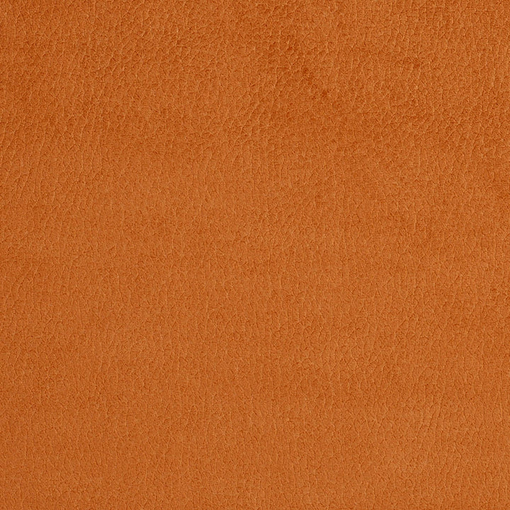 2920 Apricot by Charlotte Designer Fabric Ring Book Page #4A 100% Woven Polyester Asia Exceeds 190,000 Wyzenbeek Rubs (Heavy Duty) </p><p>Repeat: 54 Inches - Swanky Fabrics -