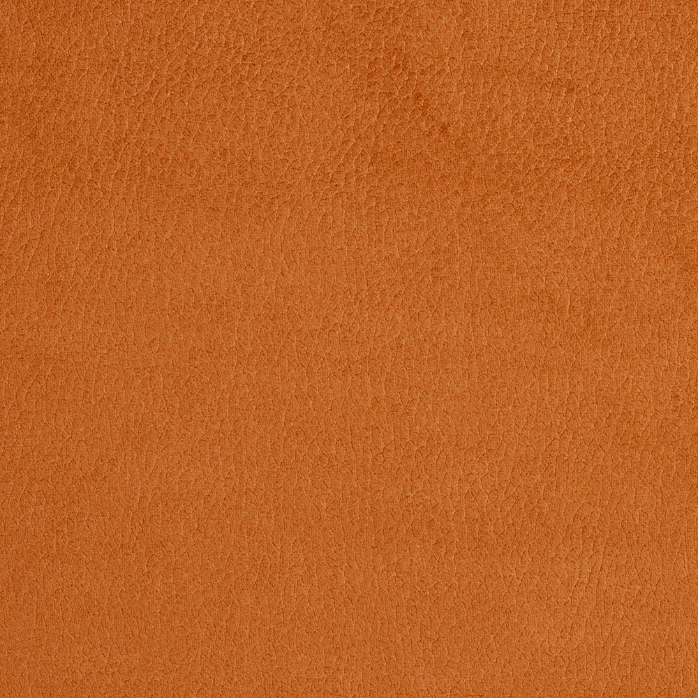 2920 Apricot by Charlotte Designer Fabric Ring Book Page #4A 100% Woven Polyester Asia Exceeds 190,000 Wyzenbeek Rubs (Heavy Duty) </p><p>Repeat: No Repeat 54 Inches - Swanky Fabrics -