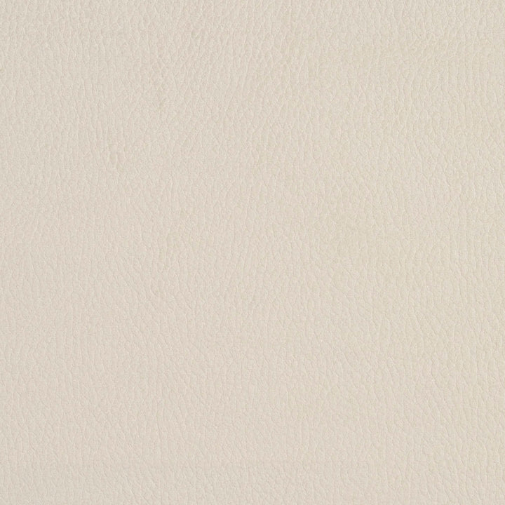 2922 Eggshell by Charlotte Designer Fabric Ring Book Page #4A 100% Woven Polyester Asia Exceeds 180,000 Wyzenbeek Rubs (Heavy Duty) No Repeat 54 Inches - Swanky Fabrics -