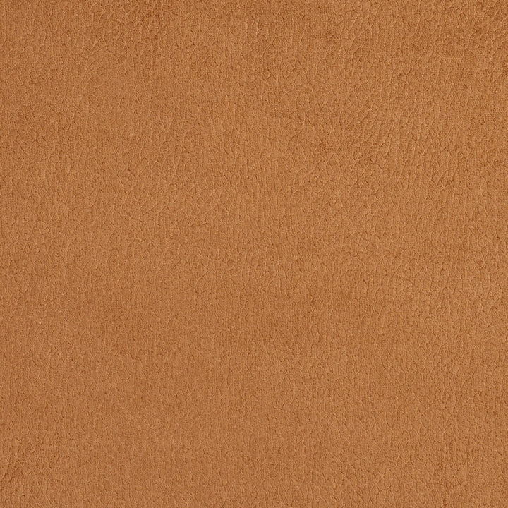 2923 Camel by Charlotte Designer Fabric Ring Book Page #4A 100% Woven Polyester Asia Exceeds 180,000 Wyzenbeek Rubs (Heavy Duty) No Repeat 54 Inches - Swanky Fabrics -