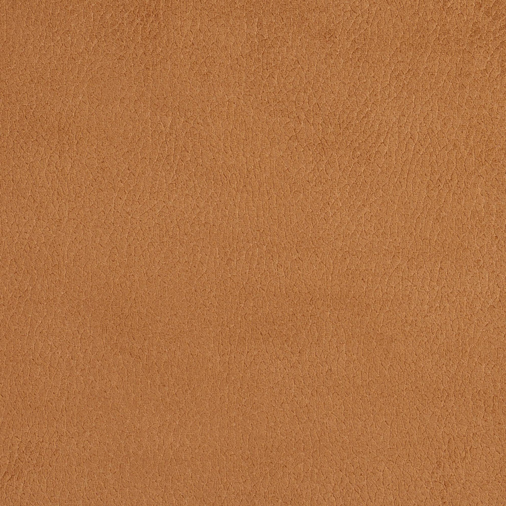 2923 Camel by Charlotte Designer Fabric Ring Book Page #4A 100% Woven Polyester Asia Exceeds 190,000 Wyzenbeek Rubs (Heavy Duty) </p><p>Repeat: No Repeat 54 Inches - Swanky Fabrics -