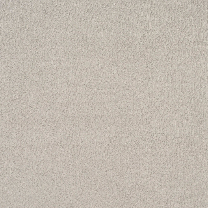 2924 Dolphin by Charlotte Designer Fabric Ring Book Page #4A 100% Woven Polyester Asia Exceeds 190,000 Wyzenbeek Rubs (Heavy Duty) </p><p>Repeat: No Repeat 54 Inches - Swanky Fabrics -