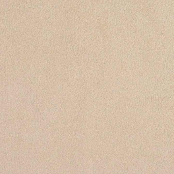 2926 Ecru by Charlotte Designer Fabric Ring Book Page #4A 100% Woven Polyester Asia Exceeds 180,000 Wyzenbeek Rubs (Heavy Duty) No Repeat 54 Inches - Swanky Fabrics -