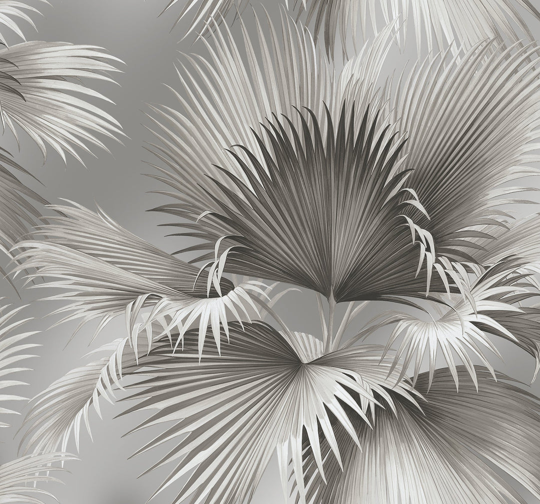 Summer Palm Platinum Tropical Wallpaper by A-Street Prints Designer
