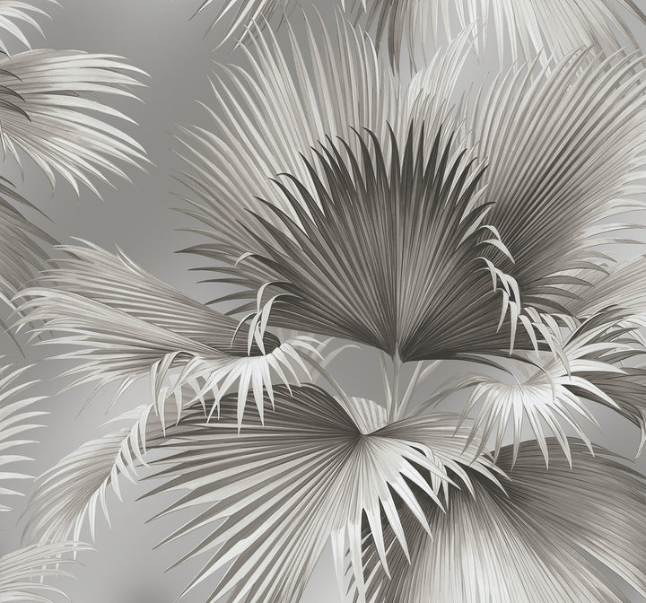 Summer Palm Platinum Tropical Wallpaper by A-Street Prints Designer