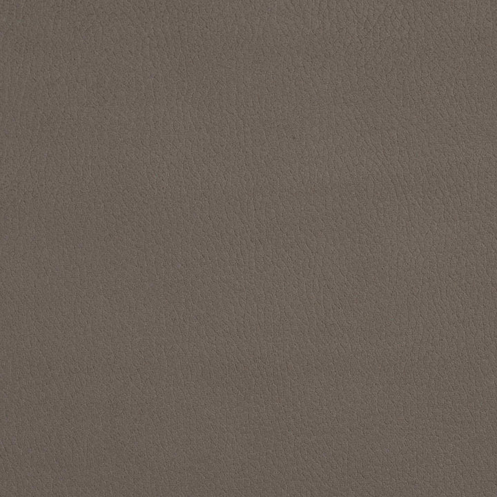 2927 Moonstone by Charlotte Designer Fabric Ring Book Page #4A 100% Woven Polyester Asia Exceeds 180,000 Wyzenbeek Rubs (Heavy Duty) No Repeat 54 Inches - Swanky Fabrics -