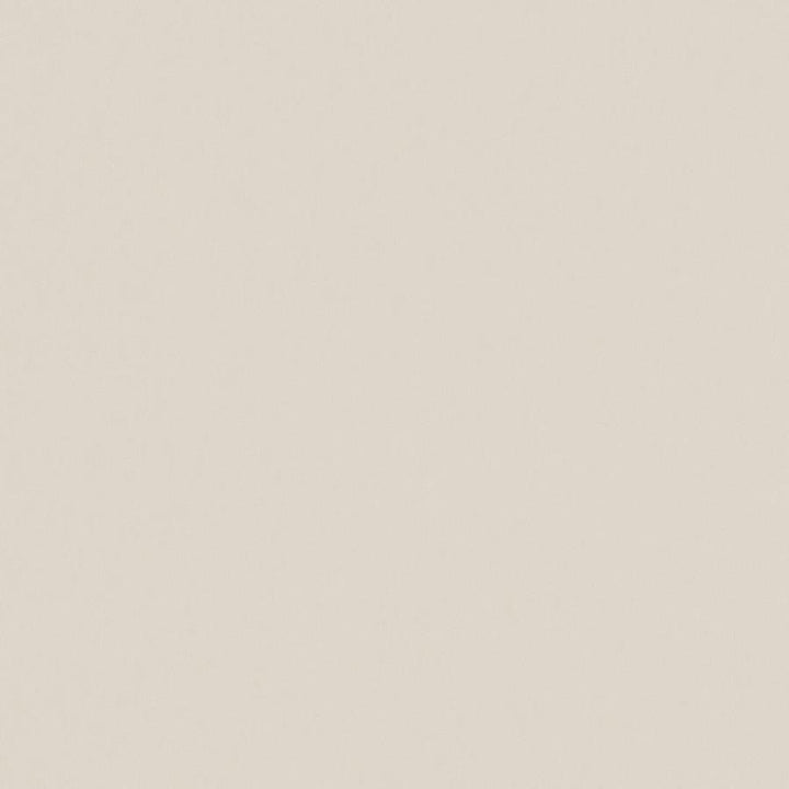 Zaitun # 502 Dune by Maxwell Designer Fabric Pure & Simple Xvi 100% ORGANIC COTTON INDIA 55" - Swanky Fabrics -