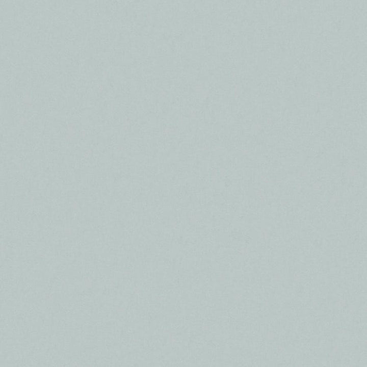 Zaitun # 512 Surf by Maxwell Designer Fabric Pure & Simple Xvi 100% ORGANIC COTTON INDIA 55" - Swanky Fabrics -