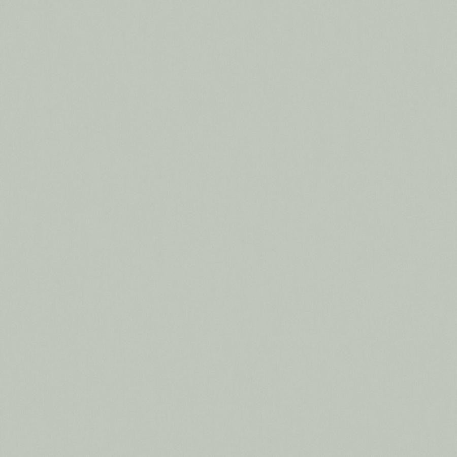 Zaitun # 515 Spearmint by Maxwell Designer Fabric Pure & Simple Xvi 100% ORGANIC COTTON INDIA 55" - Swanky Fabrics -
