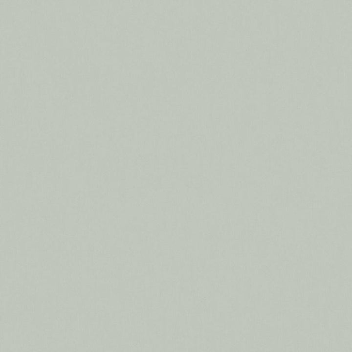 Zaitun # 515 Spearmint by Maxwell Designer Fabric Pure & Simple Xvi 100% ORGANIC COTTON INDIA 55" - Swanky Fabrics -