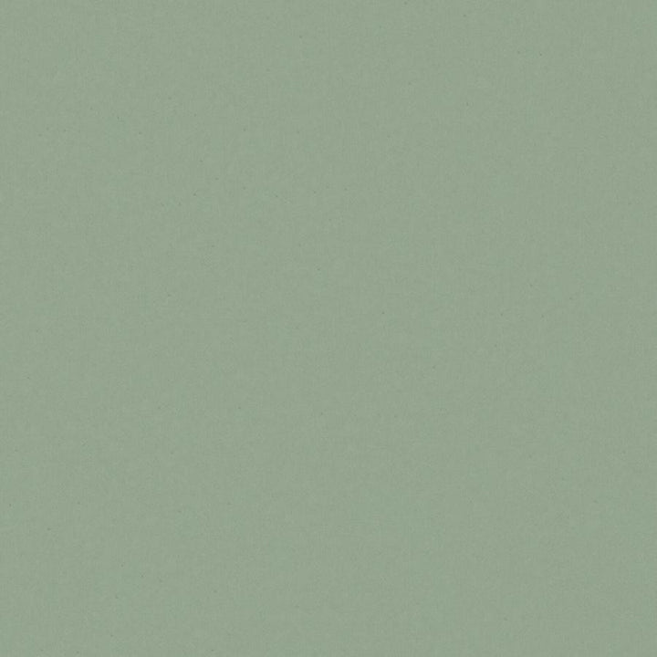 Zaitun # 516 Mineral by Maxwell Designer Fabric Pure & Simple Xvi 100% ORGANIC COTTON INDIA 55" - Swanky Fabrics -