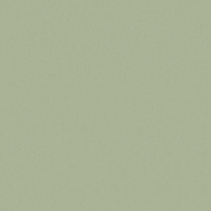 Zaitun # 517 Linden by Maxwell Designer Fabric Pure & Simple Xvi 100% ORGANIC COTTON INDIA 55" - Swanky Fabrics -