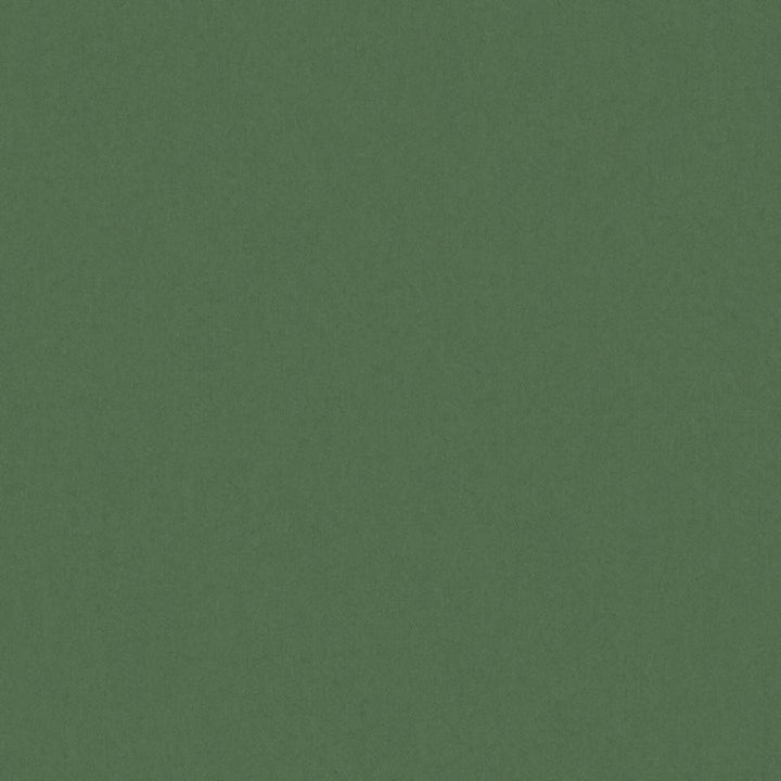 Zaitun # 518 Forest by Maxwell Designer Fabric Pure & Simple Xvi 100% ORGANIC COTTON INDIA 55" - Swanky Fabrics -