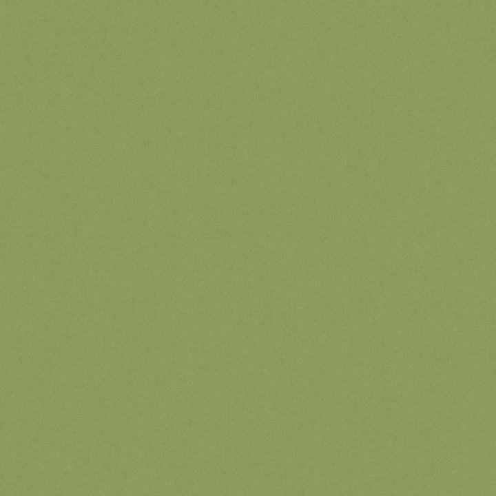 Zaitun # 519 Hedge by Maxwell Designer Fabric Pure & Simple Xvi 100% ORGANIC COTTON INDIA 55" - Swanky Fabrics -