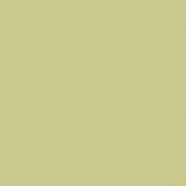 Zaitun # 520 Apple by Maxwell Designer Fabric Pure & Simple Xvi 100% ORGANIC COTTON INDIA 55" - Swanky Fabrics -