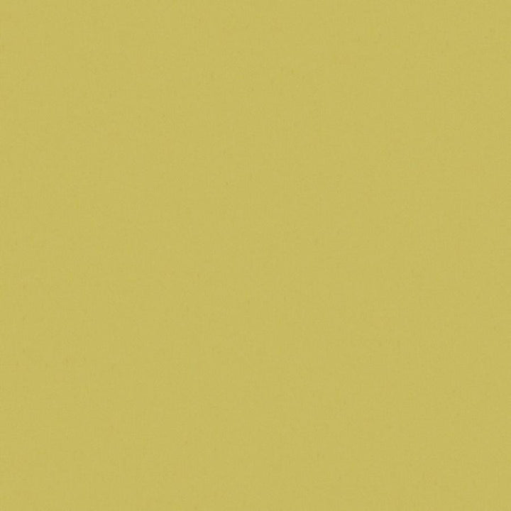 Zaitun # 521 Chartreuse by Maxwell Designer Fabric Pure & Simple Xvi 100% ORGANIC COTTON INDIA 55" - Swanky Fabrics -