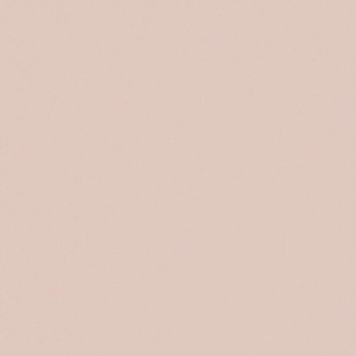 Zaitun # 529 Cameo by Maxwell Designer Fabric Pure & Simple Xvi 100% ORGANIC COTTON INDIA 55" - Swanky Fabrics -