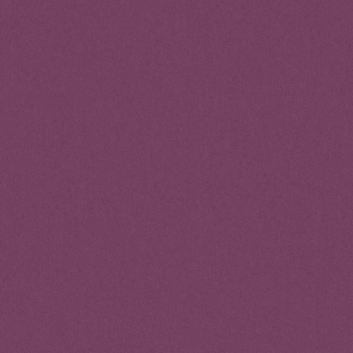 Zaitun # 534 Aubergine by Maxwell Designer Fabric Pure & Simple Xvi 100% ORGANIC COTTON INDIA 55" - Swanky Fabrics -