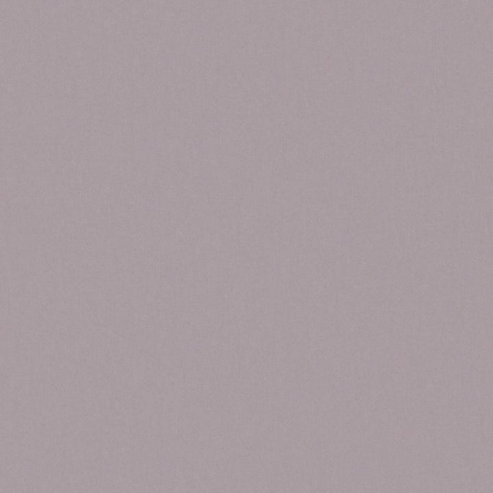 Zaitun # 536 Plum by Maxwell Designer Fabric Pure & Simple Xvi 100% ORGANIC COTTON INDIA 55" - Swanky Fabrics -