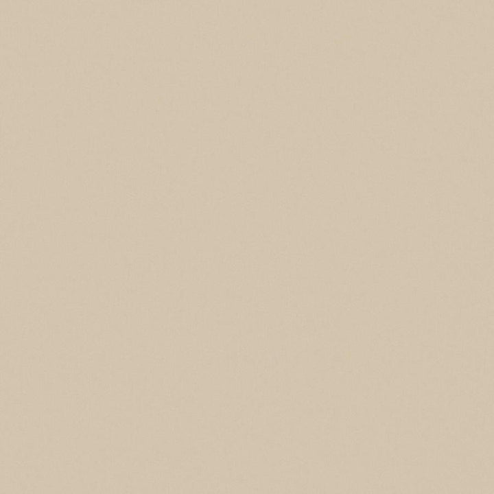 Zaitun # 542 Sand by Maxwell Designer Fabric Pure & Simple Xvi 100% ORGANIC COTTON INDIA 55" - Swanky Fabrics -