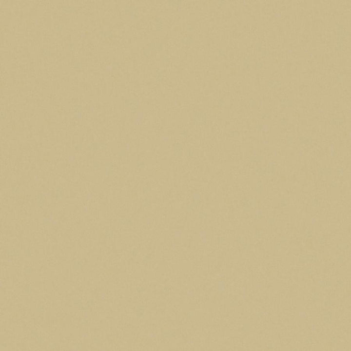 Zaitun # 543 Hay by Maxwell Designer Fabric Pure & Simple Xvi 100% ORGANIC COTTON INDIA 55" - Swanky Fabrics -