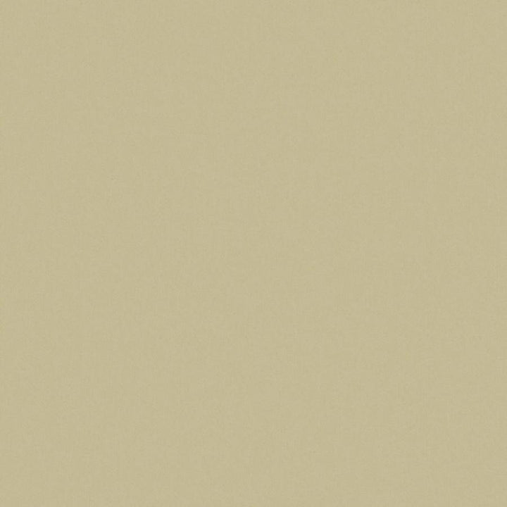 Zaitun # 544 Seagrass by Maxwell Designer Fabric Pure & Simple Xvi 100% ORGANIC COTTON INDIA 55" - Swanky Fabrics -