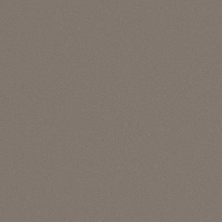 Zaitun # 547 Slate by Maxwell Designer Fabric Pure & Simple Xvi 100% ORGANIC COTTON INDIA 55" - Swanky Fabrics -