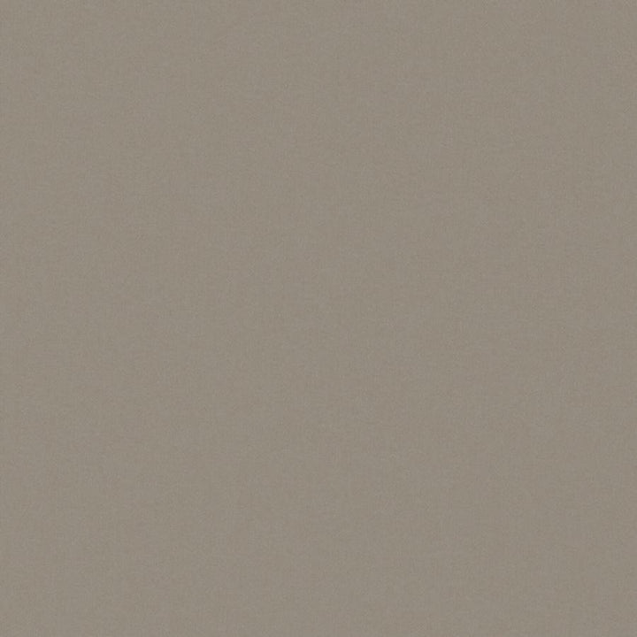 Zaitun # 548 Pewter by Maxwell Designer Fabric Pure & Simple Xvi 100% ORGANIC COTTON INDIA 55" - Swanky Fabrics -