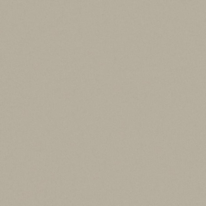 Zaitun # 549 Cement by Maxwell Designer Fabric Pure & Simple Xvi 100% ORGANIC COTTON INDIA 55" - Swanky Fabrics -