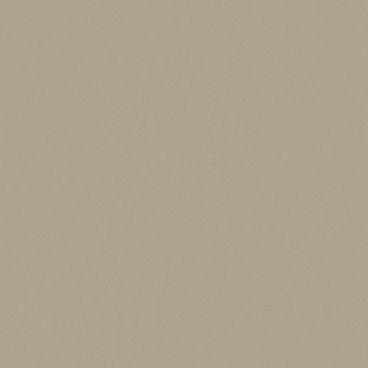 Zaitun # 550 Funghi by Maxwell Designer Fabric Pure & Simple Xvi 100% ORGANIC COTTON INDIA 55" - Swanky Fabrics -
