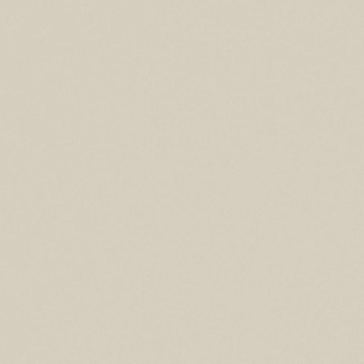 Zaitun # 552 Rattan by Maxwell Designer Fabric Pure & Simple Xvi 100% ORGANIC COTTON INDIA 55" - Swanky Fabrics -