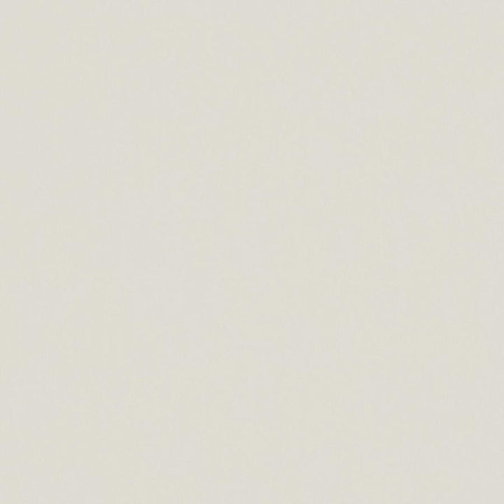 Zaitun # 553 Marzipan by Maxwell Designer Fabric Pure & Simple Xvi 100% ORGANIC COTTON INDIA 55" - Swanky Fabrics -