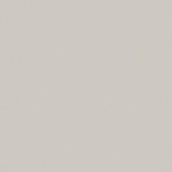 Zaitun # 554 Fresco by Maxwell Designer Fabric Pure & Simple Xvi 100% ORGANIC COTTON INDIA 55" - Swanky Fabrics -