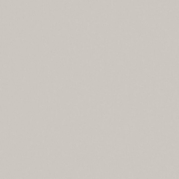 Zaitun # 555 Limestone by Maxwell Designer Fabric Pure & Simple Xvi 100% ORGANIC COTTON INDIA 55" - Swanky Fabrics -