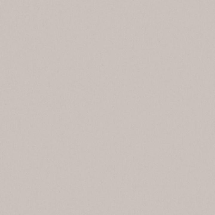Zaitun # 556 Griffin by Maxwell Designer Fabric Pure & Simple Xvi 100% ORGANIC COTTON INDIA 55" - Swanky Fabrics -