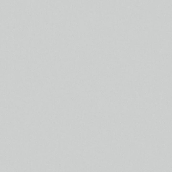 Zaitun # 557 Silver by Maxwell Designer Fabric Pure & Simple Xvi 100% ORGANIC COTTON INDIA 55" - Swanky Fabrics -