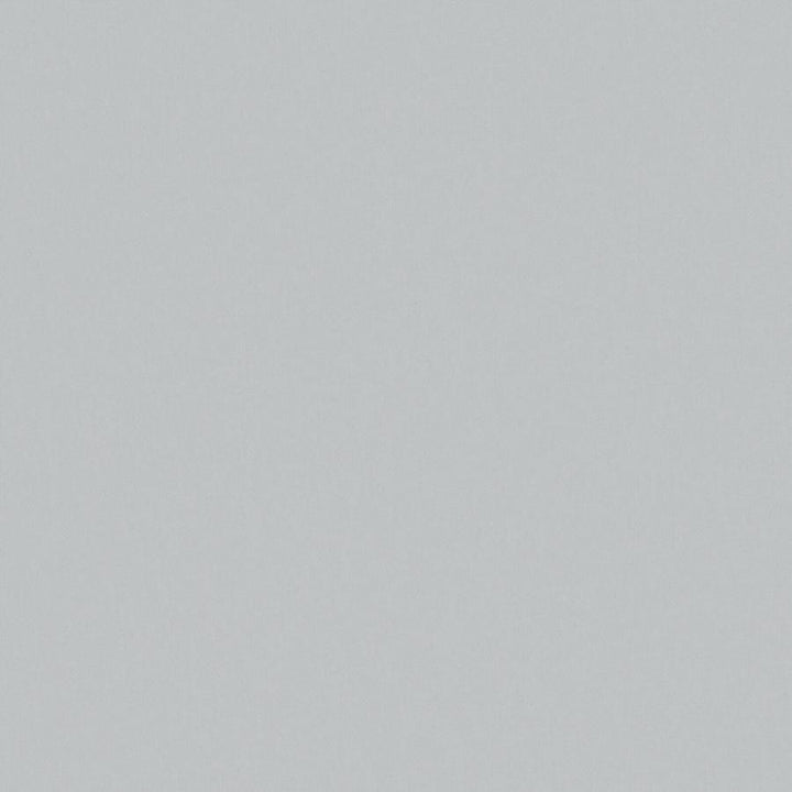 Zaitun # 558 Cloud by Maxwell Designer Fabric Pure & Simple Xvi 100% ORGANIC COTTON INDIA 55" - Swanky Fabrics -