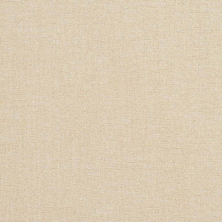 2944 Ivory by Charlotte Designer Fabric Ring Book Page #3A 100% Woven Polyester Asia Exceeds 100,000 Wyzenbeek Rubs (Heavy Duty) No Repeat 54 Inches - Swanky Fabrics -