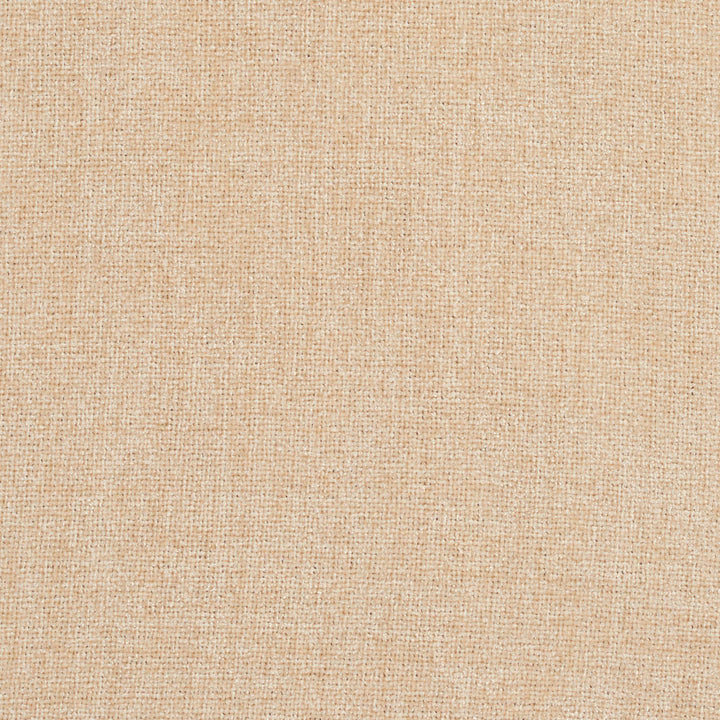 2947 Cream by Charlotte Designer Fabric Ring Book Page #3A 100% Woven Polyester Asia Exceeds 100,000 Wyzenbeek Rubs (Heavy Duty) No Repeat 54 Inches - Swanky Fabrics -
