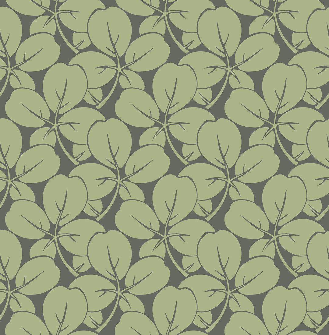 Robert Green Clover Wallpaper by A-Street Prints Designer