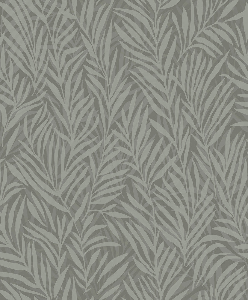 Holzer Dark Green Fern Wallpaper by Advantage Designer Splash Covers about 57.5 square feet 20.9-in by 33-ft long roll Unpasted 12.6 - Swanky Fabrics -