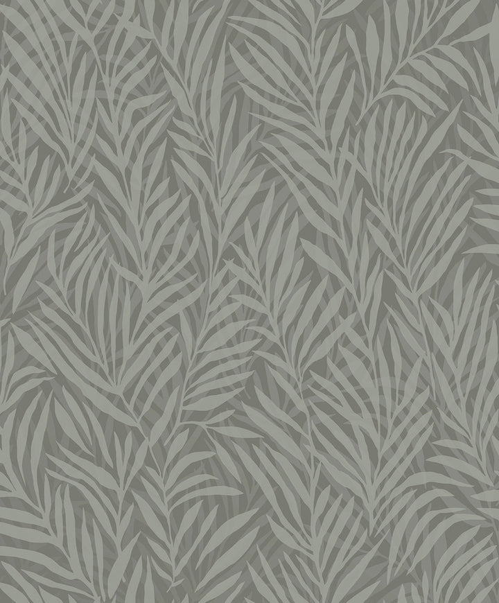 Holzer Dark Green Fern Wallpaper by Advantage Designer Splash Covers about 57.5 square feet 20.9-in by 33-ft long roll Unpasted 12.6 - Swanky Fabrics -