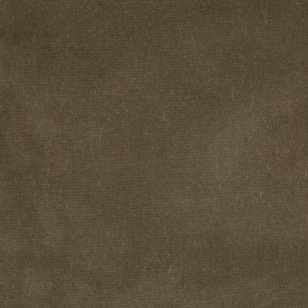 Endure Souris by Kravet Design Designer Fabric - COTTON - 100% Netherlands HEAVY Horizontal: 0 and Vertical: 0 54 - Swanky Fabrics -