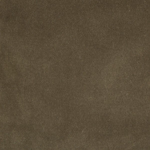 Endure Souris by Kravet Design Designer Fabric
