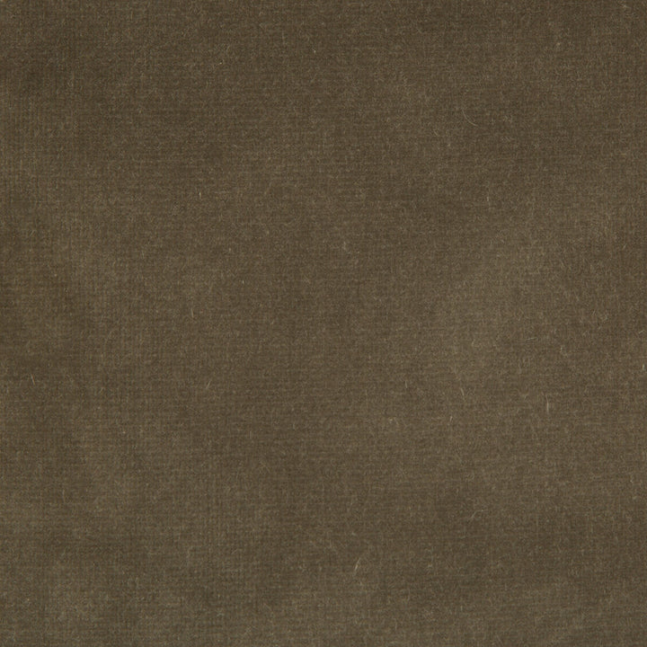 Endure Souris by Kravet Design Designer Fabric COTTON - 100% Netherlands HEAVY Horizontal: 0 and Vertical: 0 54 - Swanky Fabrics -
