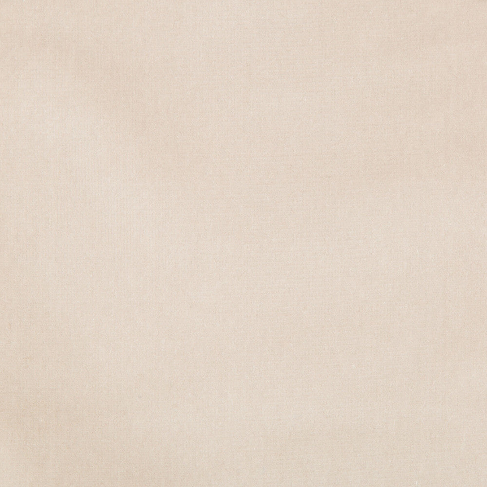 Endure Greystone by Kravet Design Fabric Kravet Design Fabric Endure GreystoneFabric COTTON - 100% Netherlands </p><p>Repeat: H: 0, V: 0 54 - Fabric Carolina -