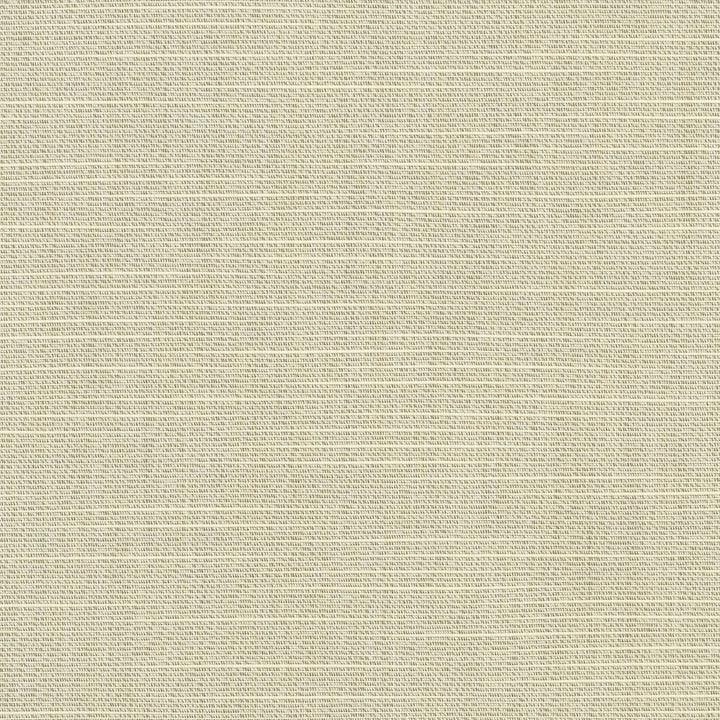 6062 Silica Silver by Sunbrella Designer Fabric Sunbrella Awning / Marine 60 in. Solids 100% SunbrellaÂ® Acrylic USA or Imported 10-Year Horizontal: and Vertical: 60 in. - Swanky Fabrics -
