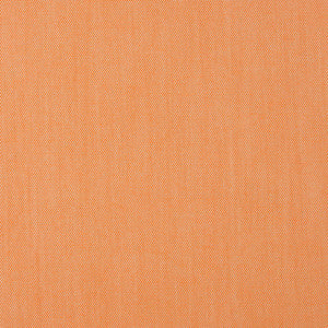 30010-06 by Charlotte Designer Fabric